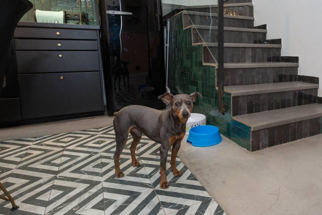 Casa Maria Townhouse- Terrace-4 Bedrooms ロスピタレート・デ・リョブレガート エクステリア 写真